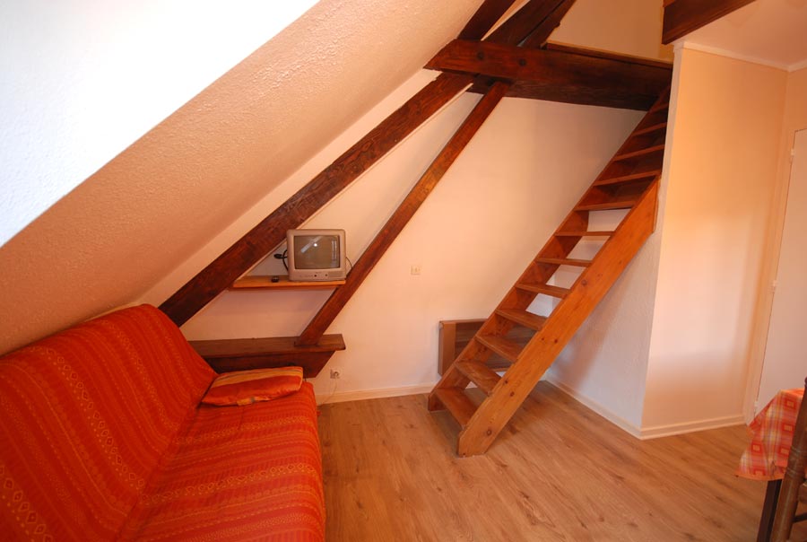 chevreuil-la Appartements à La Grave La Meije